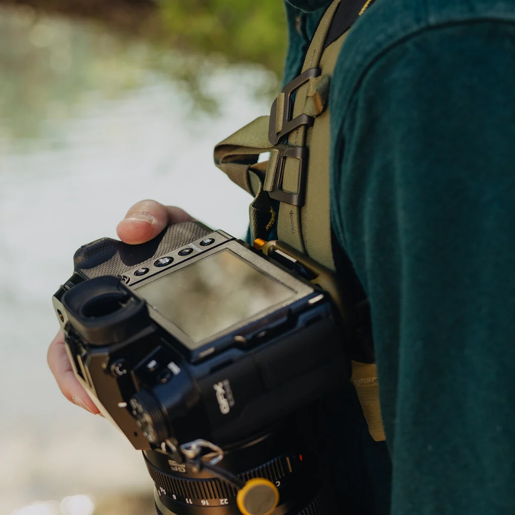 Capture | Kelp - Image 6