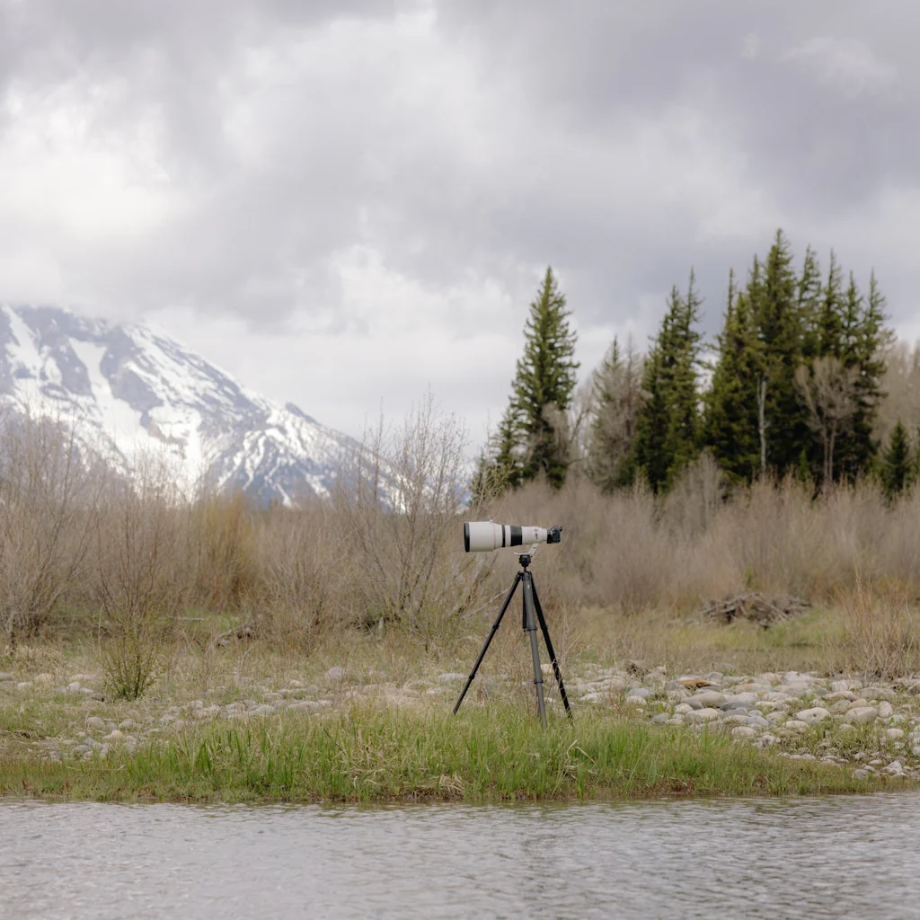 Pro Tripod - Image 9
