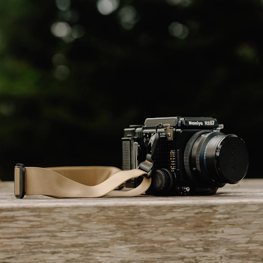Slide | Coyote - Image 5